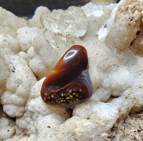 Fire agate cabochon with natural chalcedony banding and botryoidal fire cluster, 11.11 carats
