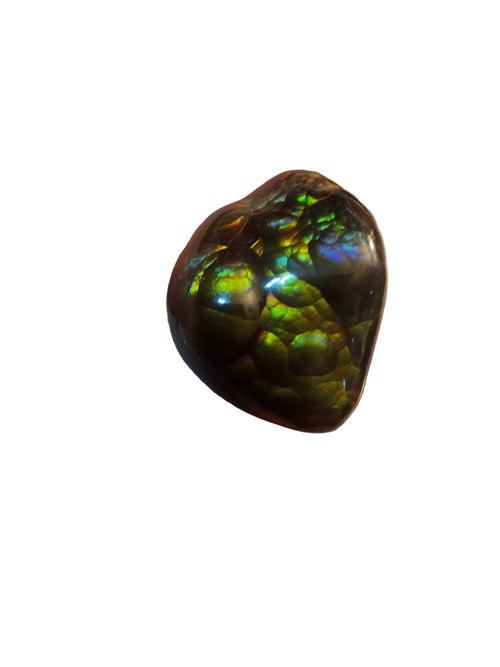A polished iridescent stone or bead resting on a person's fingers, showing dark brown to black tones with vivid green, blue, and purple flashes.