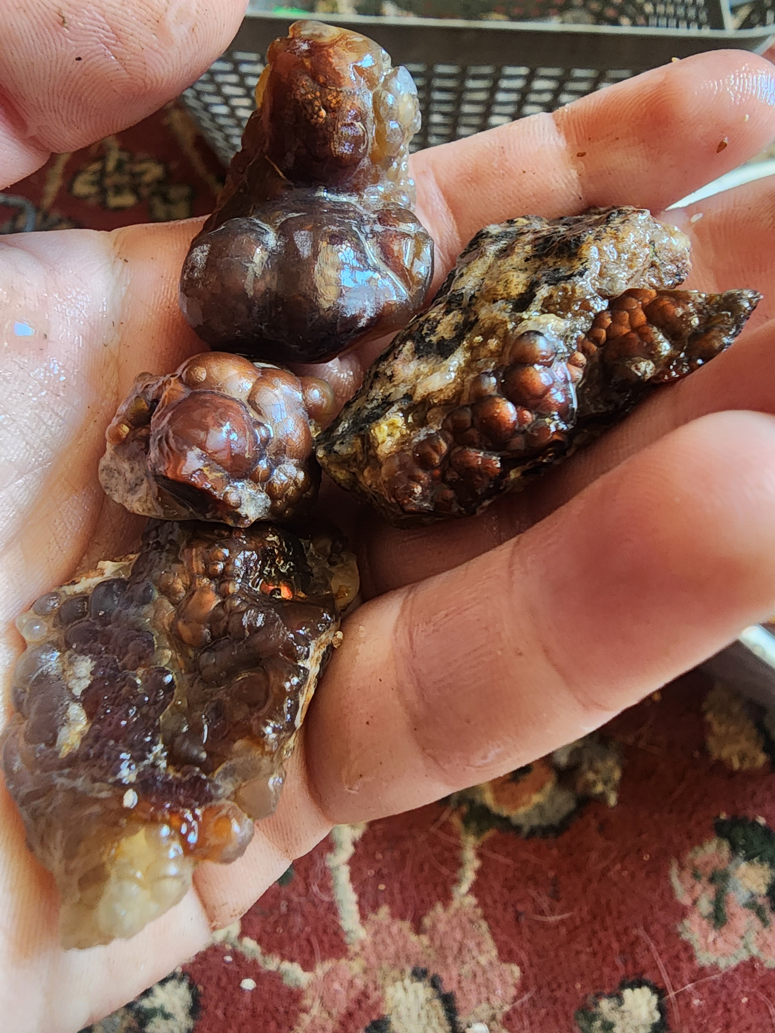 Kilo of All-Natural Sustainably mined Aguascalientes Fire Agate Mixed batch direct from mine
